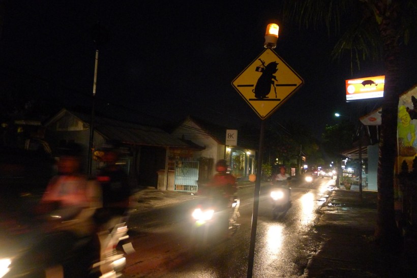 They should replace humans on street signs with pigs!