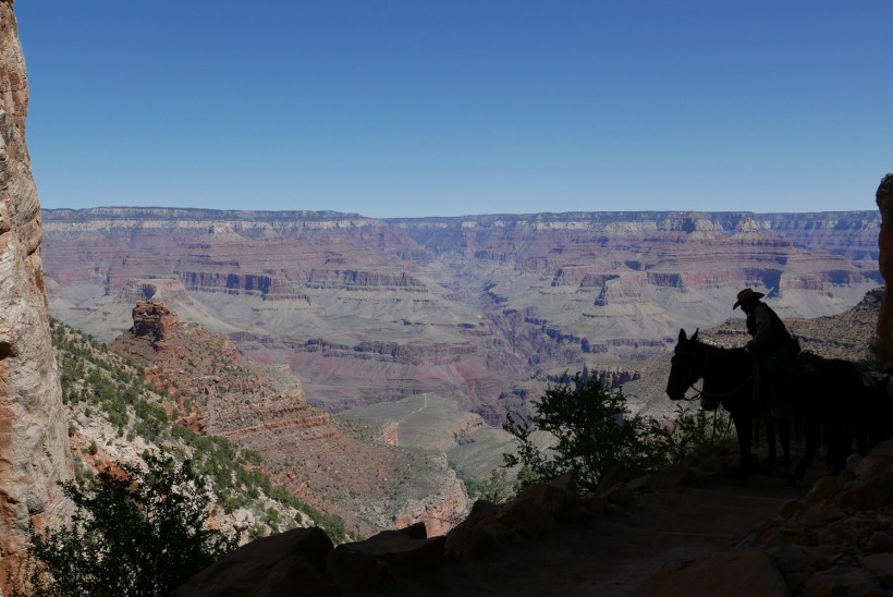 grandcanyon4